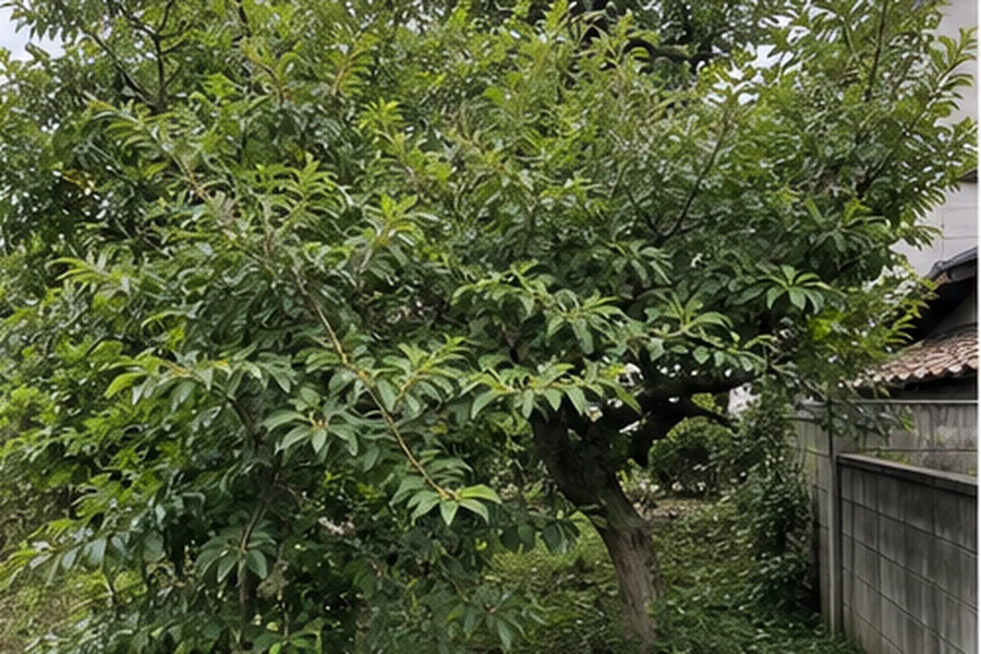剪定前の枝が茂った庭木